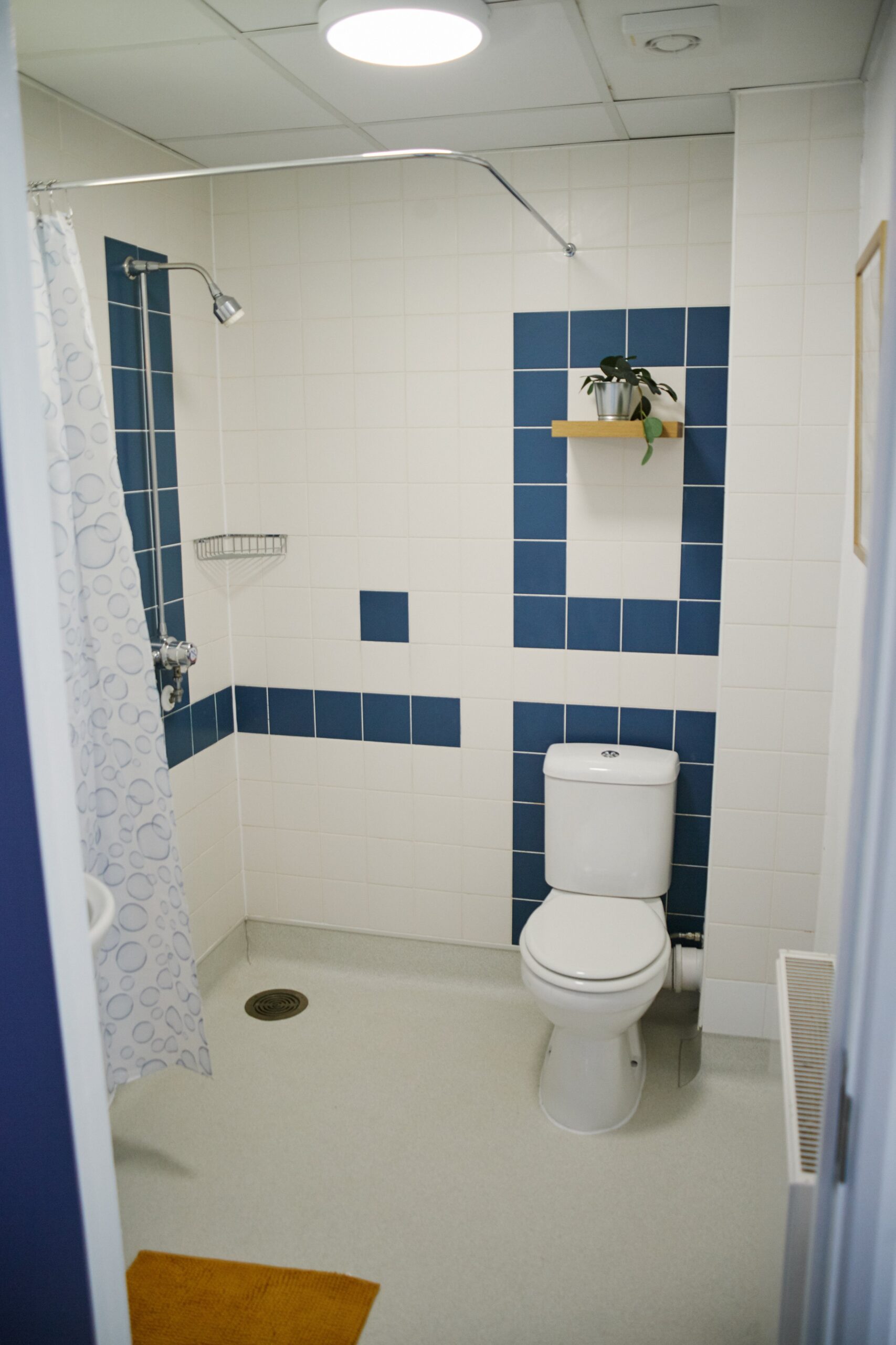 0908-fb9f-f799-d855-scaled