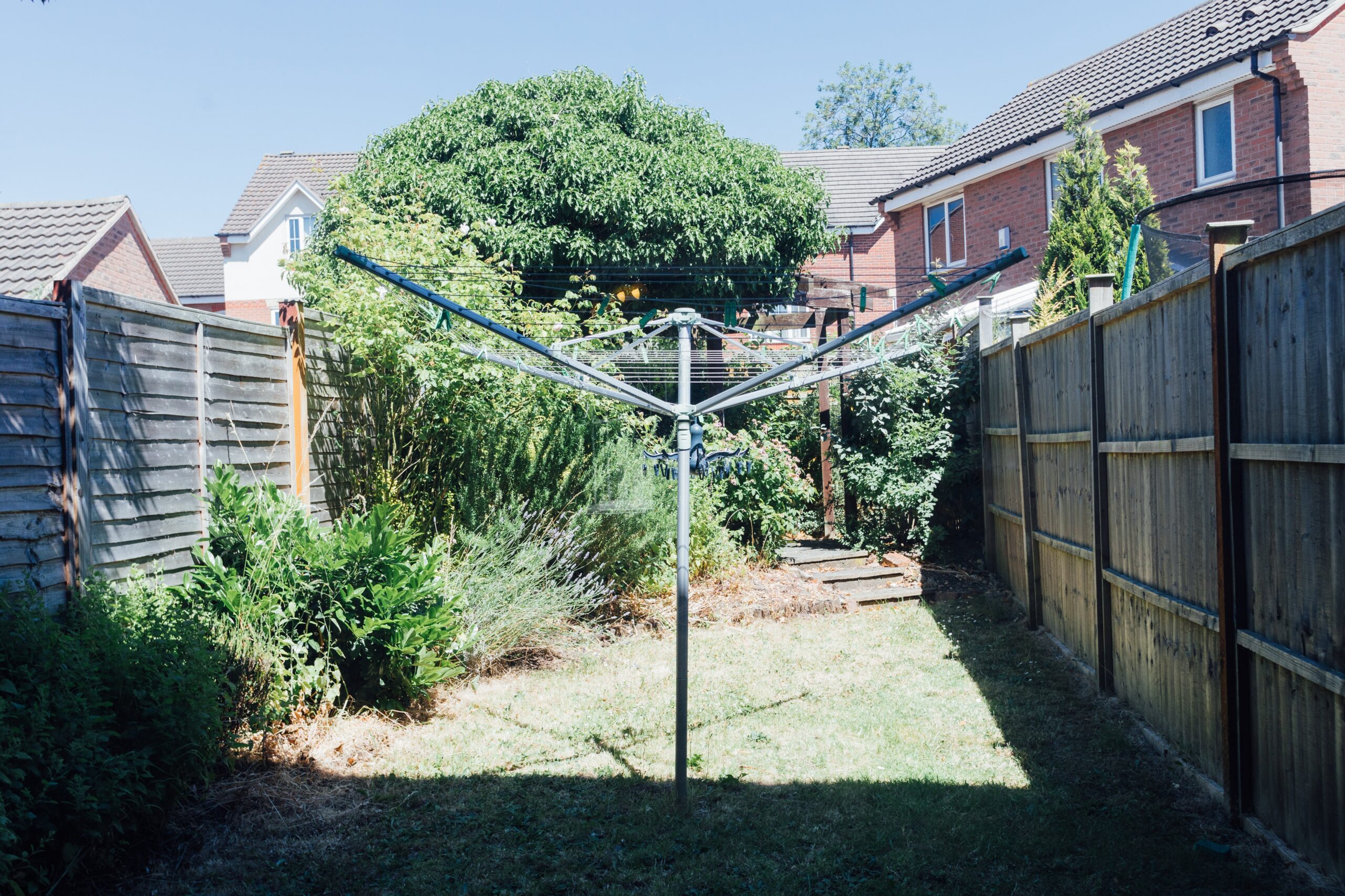 0908-905a-f76b-7b30-scaled
