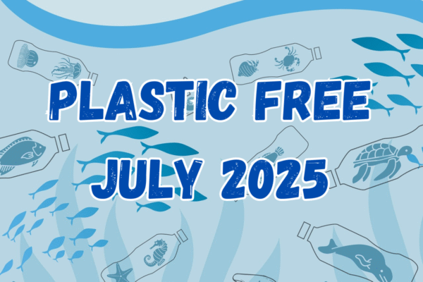 Getting Environmentally Friendly: Plastic Free July and Why Students Should Care