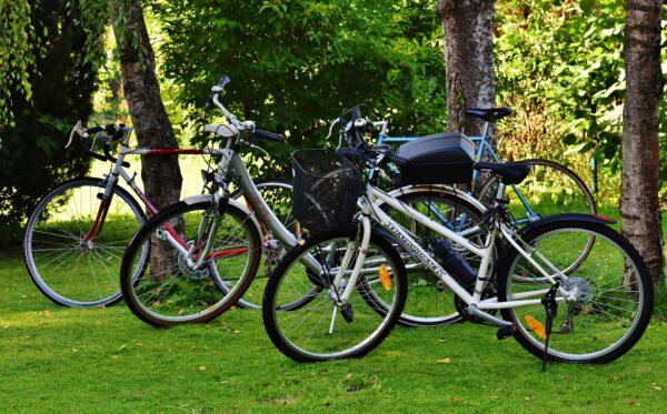 Bike Week: How Can Students Support and Get Involved?